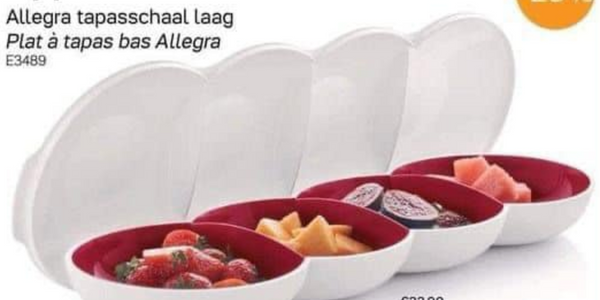 Allegra tapasschaal laag